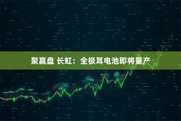 聚赢盘 长虹：全极耳电池即将量产