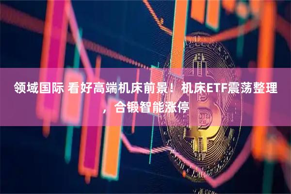 领域国际 看好高端机床前景！机床ETF震荡整理，合锻智能涨停