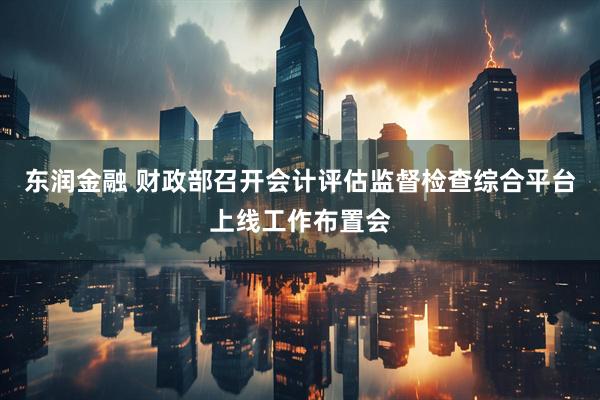 东润金融 财政部召开会计评估监督检查综合平台上线工作布置会