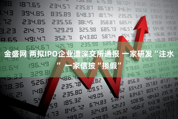 金盛网 两拟IPO企业遭深交所通报 一家研发“注水” 一家信披“掺假”