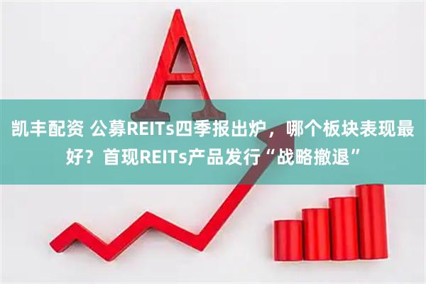 凯丰配资 公募REITs四季报出炉，哪个板块表现最好？首现REITs产品发行“战略撤退”