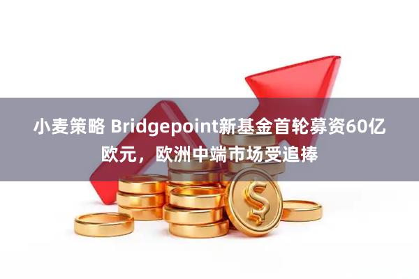 小麦策略 Bridgepoint新基金首轮募资60亿欧元，欧洲中端市场受追捧