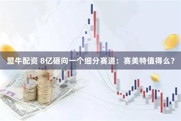 盟牛配资 8亿砸向一个细分赛道：赛美特值得么？
